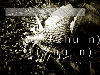 微信轉(zhuǎn)賬記錄能否起訴(微信轉(zhuǎn)賬記錄能否起訴對方)