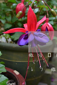 微信轉(zhuǎn)賬記錄起訴依據(jù)(微信轉(zhuǎn)賬記錄起訴依據(jù)是什么)