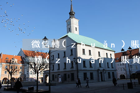 微信轉(zhuǎn)賬貨款好起訴嗎(微信轉(zhuǎn)賬貨款好起訴嗎安全嗎)