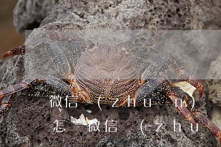 微信轉(zhuǎn)賬起訴會(huì)怎樣(微信轉(zhuǎn)賬訴訟時(shí)效幾年)