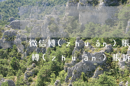 微信轉(zhuǎn)賬起訴法庭管轄(微信轉(zhuǎn)賬訴訟時(shí)效幾年)