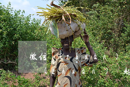 微信轉(zhuǎn)賬起訴狀怎么寫(微信轉(zhuǎn)賬起訴在哪里起訴)