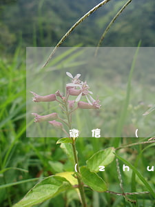 微信轉(zhuǎn)賬起訴能贏嗎(微信轉(zhuǎn)賬起訴能贏嗎)