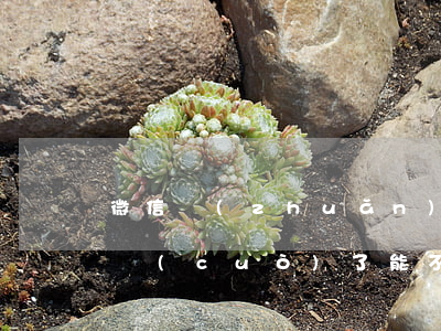 微信轉(zhuǎn)賬轉(zhuǎn)錯(cuò)了能不能申訴（微信轉(zhuǎn)賬錯(cuò)如何起訴）