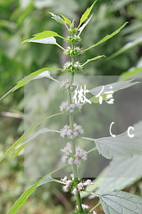 微信轉(zhuǎn)賬轉(zhuǎn)錯(cuò)可以起訴(微信轉(zhuǎn)賬轉(zhuǎn)錯(cuò)起訴對(duì)方,需要調(diào)取公民信息)