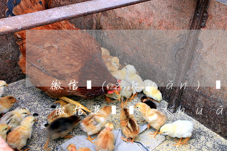 微信轉(zhuǎn)賬逾期退回有提示嗎(微信退還轉(zhuǎn)賬有提示嗎)