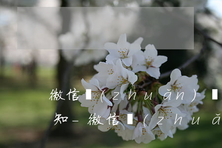 微信轉(zhuǎn)賬錢沒收逾期沒收通知-微信轉(zhuǎn)賬沒收款