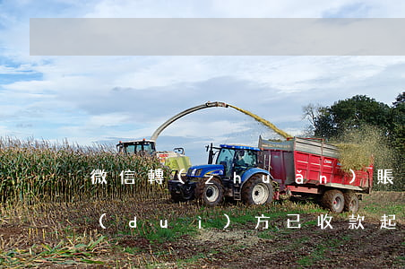 微信轉(zhuǎn)賬錯(cuò)誤對(duì)方已收款起訴條件-微信轉(zhuǎn)賬錯(cuò)誤對(duì)方已收款起訴條件是什么?