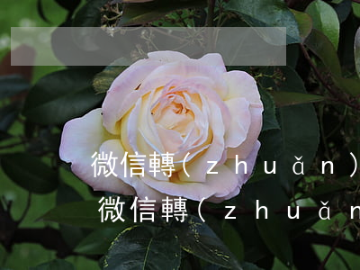 微信轉(zhuǎn)錢可以是法院憑證嗎(微信轉(zhuǎn)錢可以是法院憑證嗎)