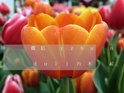 微信轉(zhuǎn)錯(cuò)賬對(duì)方不還起訴法院案例-微信轉(zhuǎn)錯(cuò)賬對(duì)方不還起訴法院案例怎么寫(xiě)