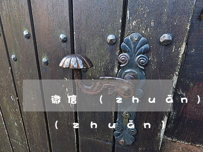 微信轉(zhuǎn)錯帳怎么起訴(微信轉(zhuǎn)錯賬怎么報案)