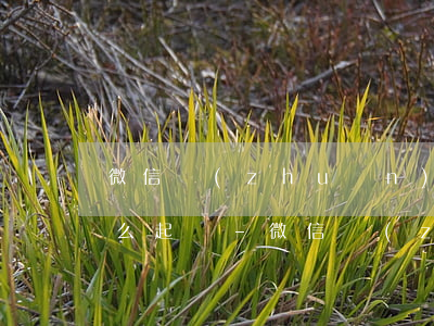微信轉(zhuǎn)錯賬了對方不退錢怎么起訴-微信轉(zhuǎn)錯賬了對方不退錢怎么起訴他