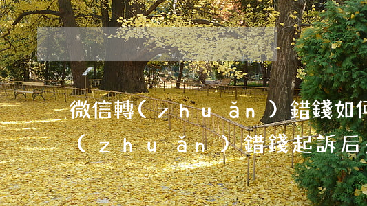 微信轉(zhuǎn)錯錢如何起訴(微信轉(zhuǎn)錯錢起訴后多久可以追回)