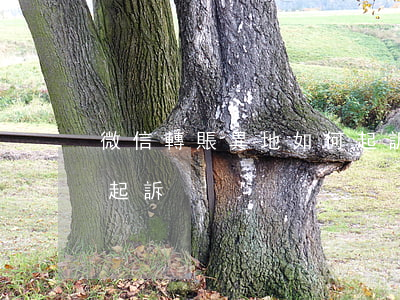 微信轉賬異地如何起訴-微信轉賬異地如何起訴