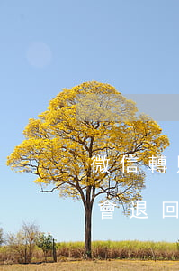 微信轉賬逾期不點會退回嗎-微信轉賬超時會退回嗎