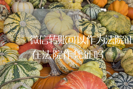 微信转账可以作为法院证明吗(微信转账可以在法院作凭证吗)