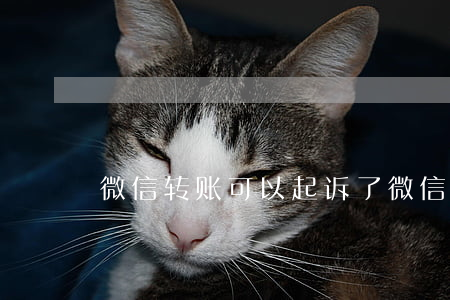 微信转账可以起诉了(微信转帐可以起诉不)