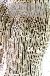 微信转账后微信名被改了能起诉吗-微信转账后微信名被改了能起诉吗安全吗