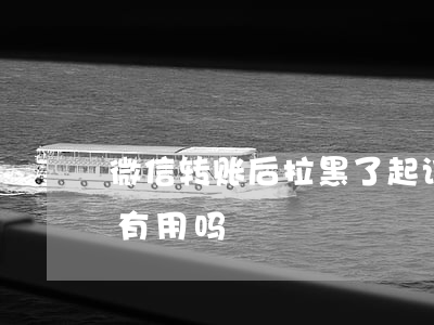 微信转账后拉黑了起诉(微信转钱被拉黑报警有用吗)