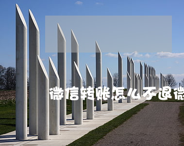 微信转账怎么不退（微信转账逾期不退）