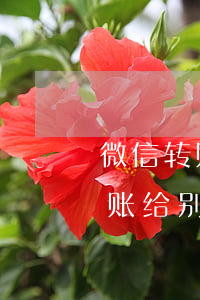 微信转账给别人起诉胜诉机会大吗-微信转账给别人起诉胜诉机会大吗安全吗