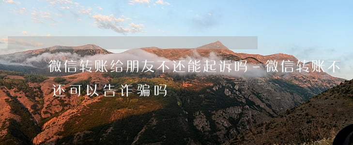 微信转账给朋友不还能起诉吗-微信转账不还可以告诈骗吗