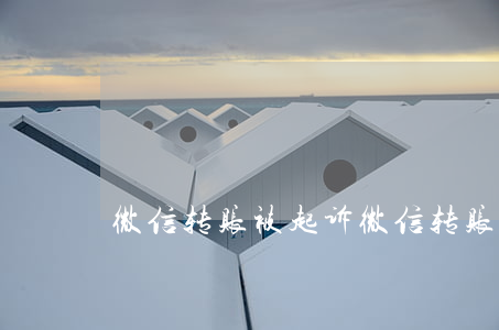 微信转账被起诉 微信转账起诉能要回来吗