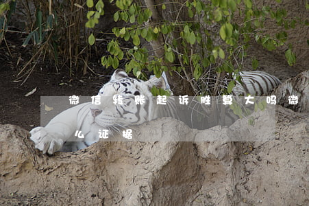 微信转账起诉胜算大吗 微信转账起诉需要什么证据