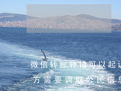 微信转账转错可以起诉(微信转账转错起诉对方,需要调取公民信息)