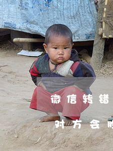 微信转错帐如何起诉-微信转账转错了起诉对方会胜诉吗