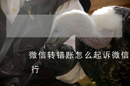 微信转错账怎么起诉(微信转错账怎么起诉银行)