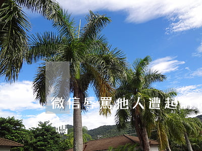 微信辱罵他人遭起訴(微信辱罵他人可以起訴嗎)