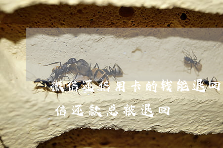 微信还信用卡的钱能退回来吗（信用卡逾期微信还款总被退回）