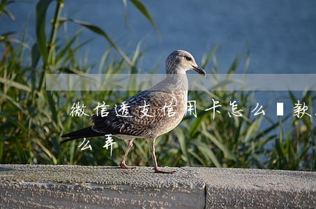 微信透支信用卡怎么還款(微信信用卡還款怎么弄)