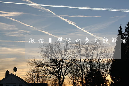 微信進群限制多久能解除