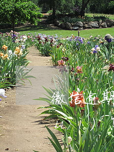 微信逾期11天(微信分付逾期10天會(huì)怎樣)