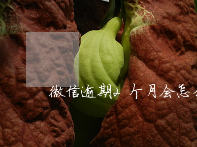 微信逾期2个月会怎么样