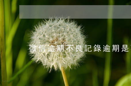 微信逾期不良記錄(逾期是不是不良記錄)