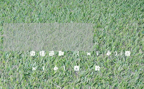 微信逾期協(xié)商還款(逾期之后協(xié)商還款)