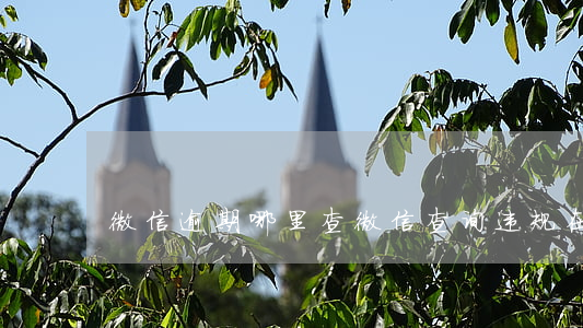 微信逾期哪里查(微信查询违规在哪里查)