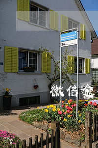 微信逾期如何處理(微信逾期會怎么樣)