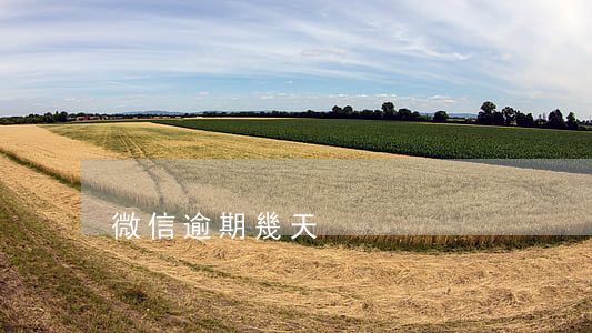 微信逾期幾天
