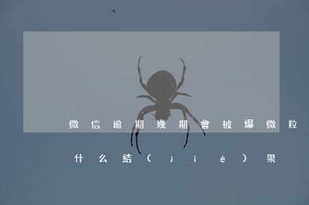 微信逾期幾期會被爆(微粒貸逾期20天會有什么結(jié)果)