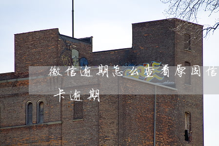 微信逾期怎么查看原因信用卡-微信還信用卡逾期