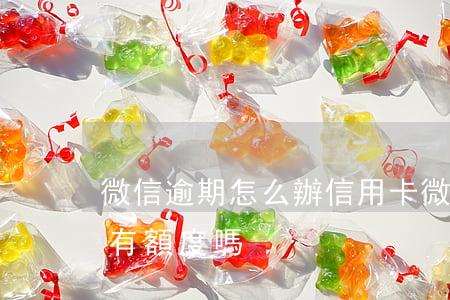 微信逾期怎么辦信用卡(微信逾期了以后還會有額度嗎)