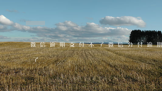 微信逾期支付不了(微信分付逾期兩天用不了了)