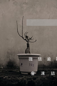 微信逾期會響征信嗎 網(wǎng)貸逾期會凍結(jié)微信嗎