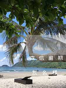 微信逾期被起訴會怎么樣(微信逾期被起訴會怎么樣)