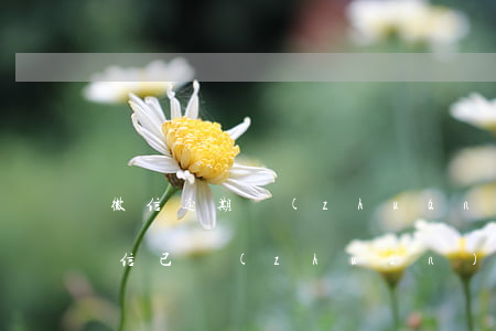 微信逾期轉(zhuǎn)賬怎么撤回-微信已轉(zhuǎn)賬如何撤回