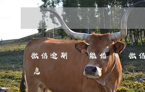 微信逾期過,還能借錢嗎（微信借款逾期不還利息）
